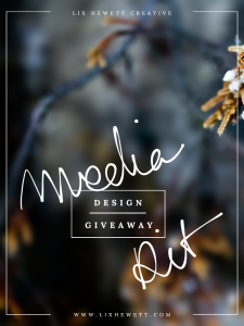 Free media kit for bloggers giveaway