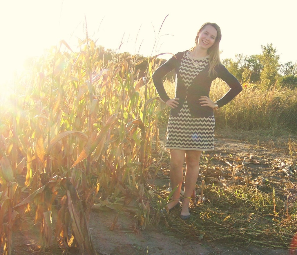 Style in the cornfields