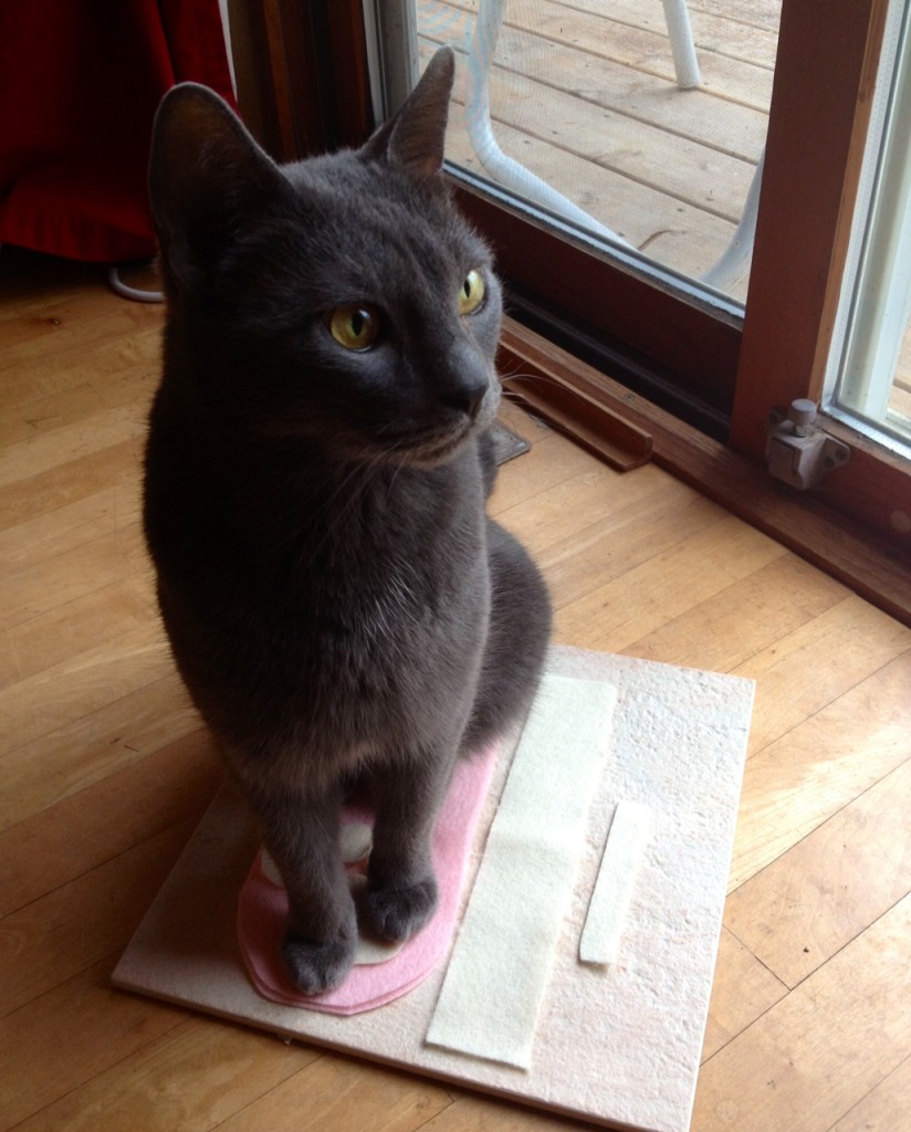 Cats love to "help" with craft projects