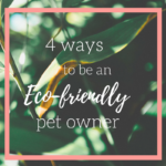 4 Ways to Be an Eco-Friendly Pet Owner