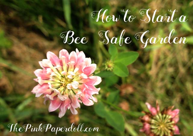 bee safe garden
