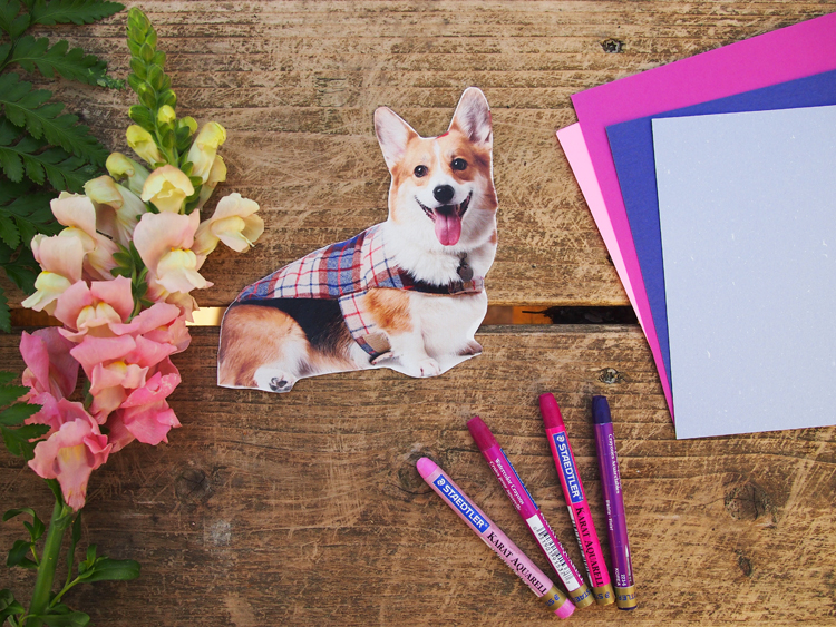 corgi collage for vision board