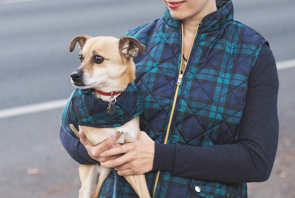 Blackwatch plaid in style