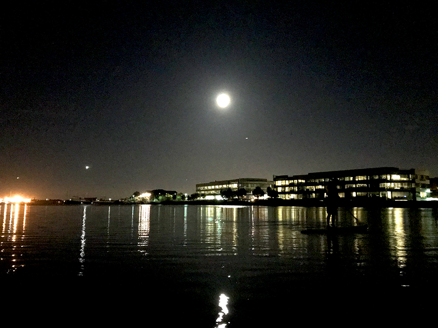 Moonlight SUP Redwood City California
